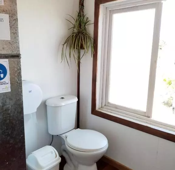 پانسیون Hostel Notro Valdivia