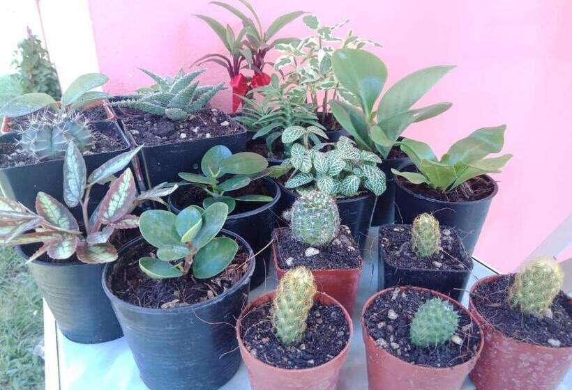 ペンション Manoon Bungalow And Fishing By P&m