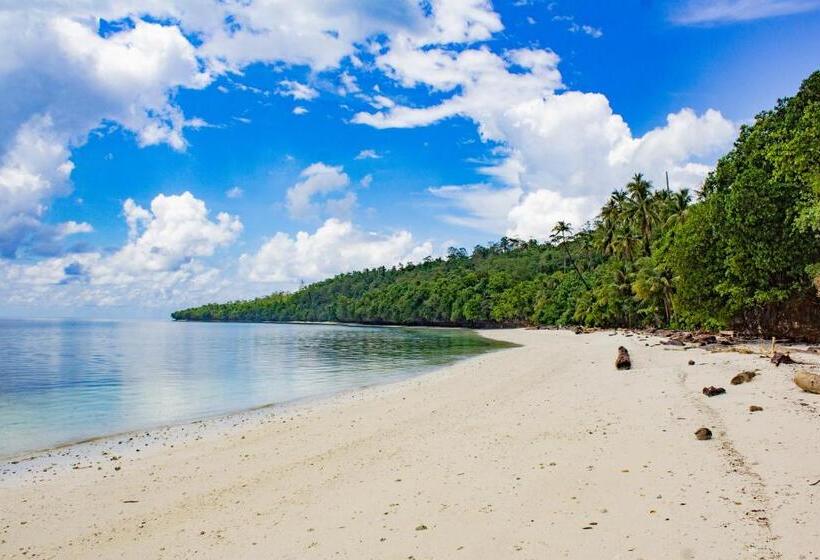 Pensjonat Maratua Guesthouse