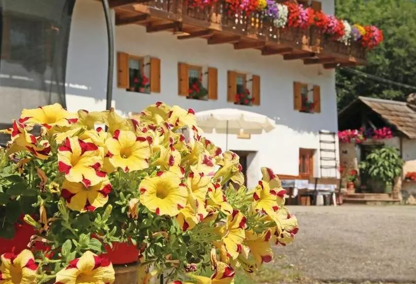 پانسیون Veltierhof