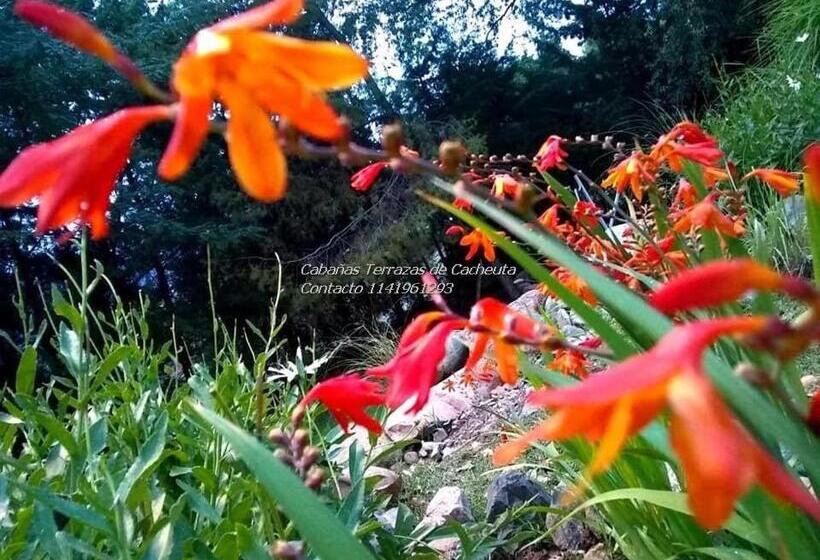 Terrazas De Cacheuta