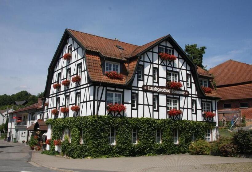 旅馆 Gasthof Sommer