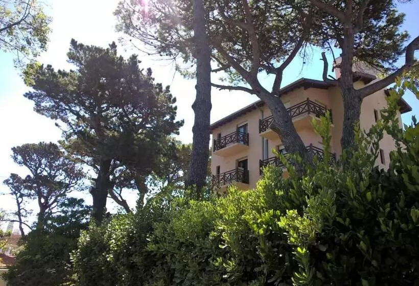 هاستل Hosteria Olimpo