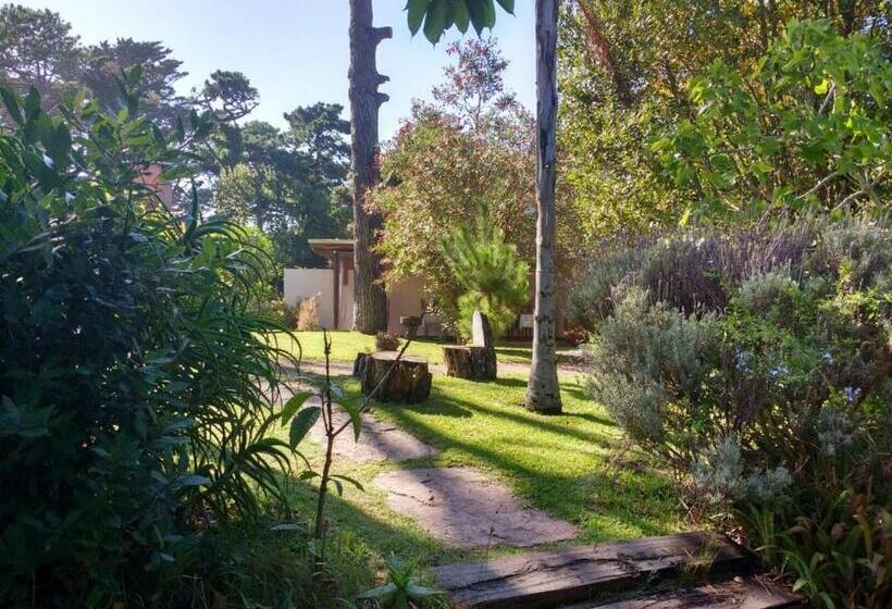 호스텔 Hosteria Olimpo