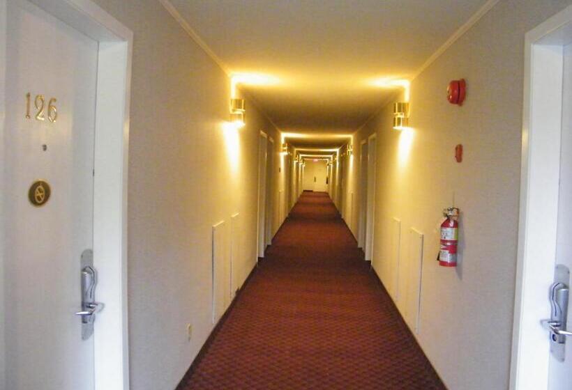 הוסטל Rodeway Inn