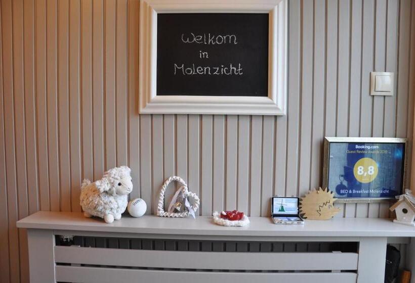 Bed and Breakfast Bed En Breakfast Molenzicht