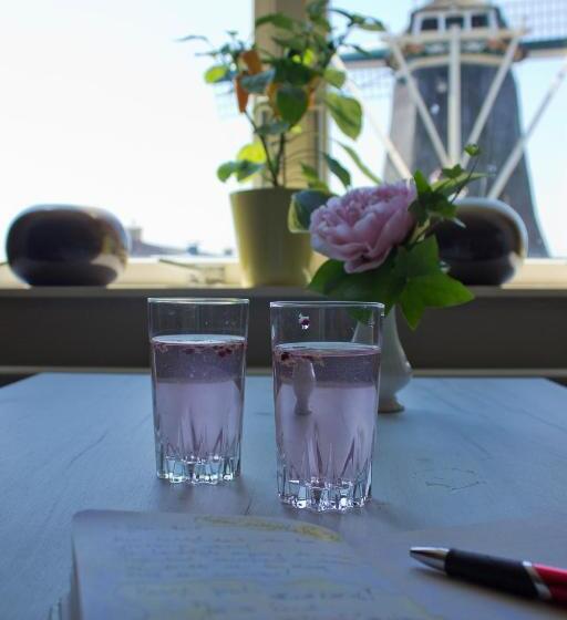 Bed and Breakfast Bed En Breakfast Molenzicht