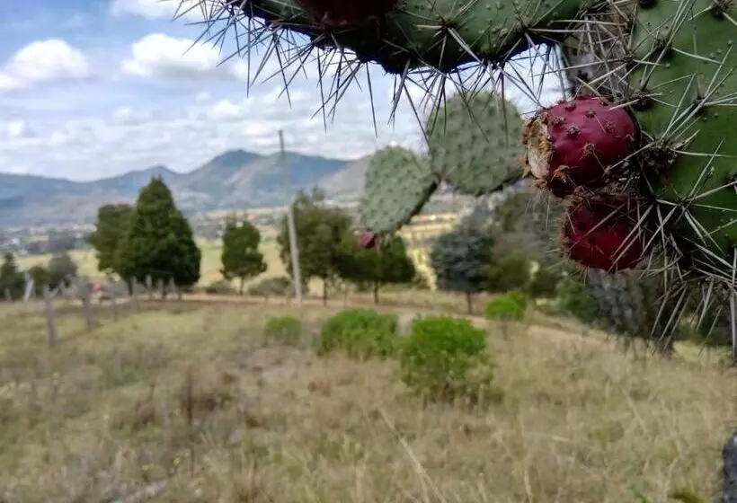 Hotelli Campestre Los Duraznos