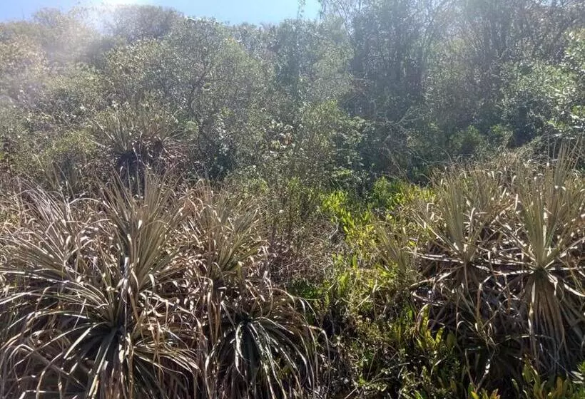 Hotelli Campestre Los Duraznos