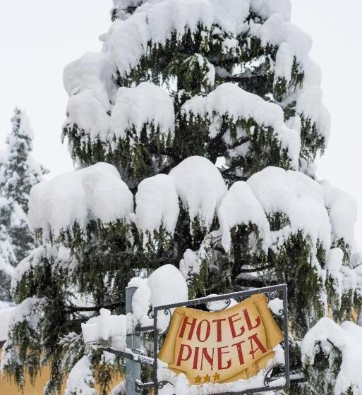 ホテル Pineta