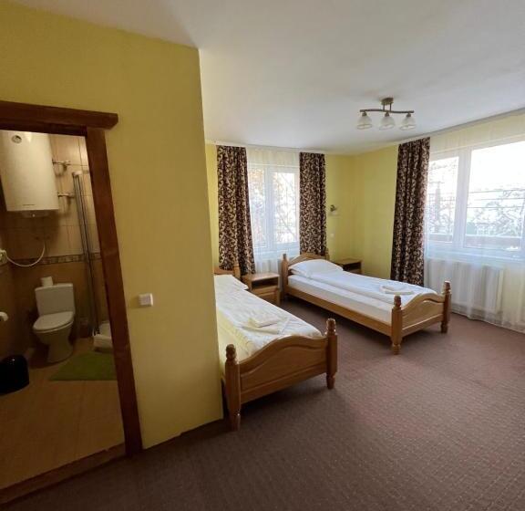 Пансион гостинний двір стефані