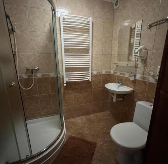 Пансион гостинний двір стефані