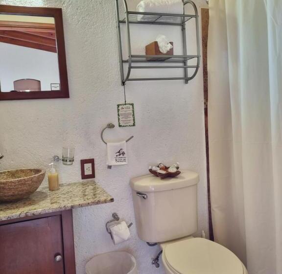 Panzió Posada El Canto Del Cenzontle