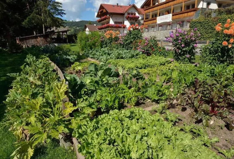 پانسیون Garni Hotel Pichler