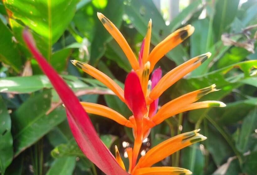 ユースホステル Mini Hotel Búzios