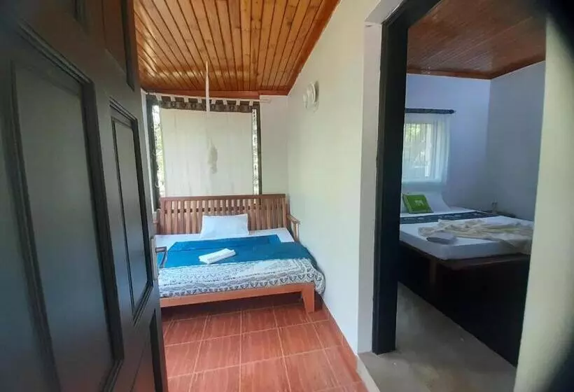 ベッドアンドブレックファースト Walk With Us Africa