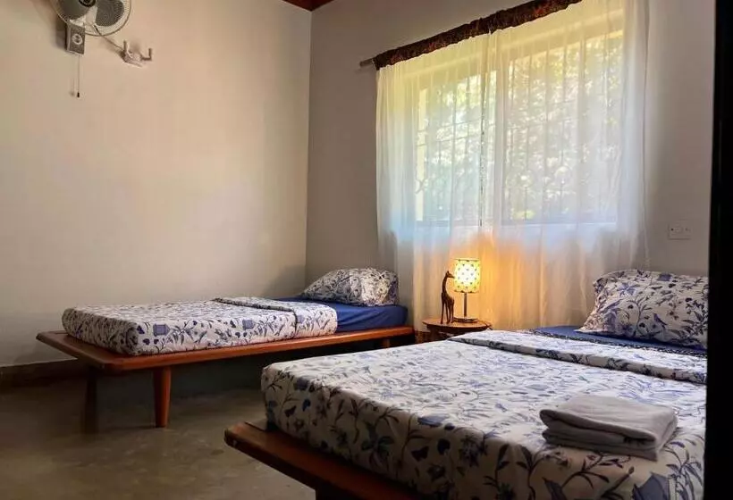 ベッドアンドブレックファースト Walk With Us Africa