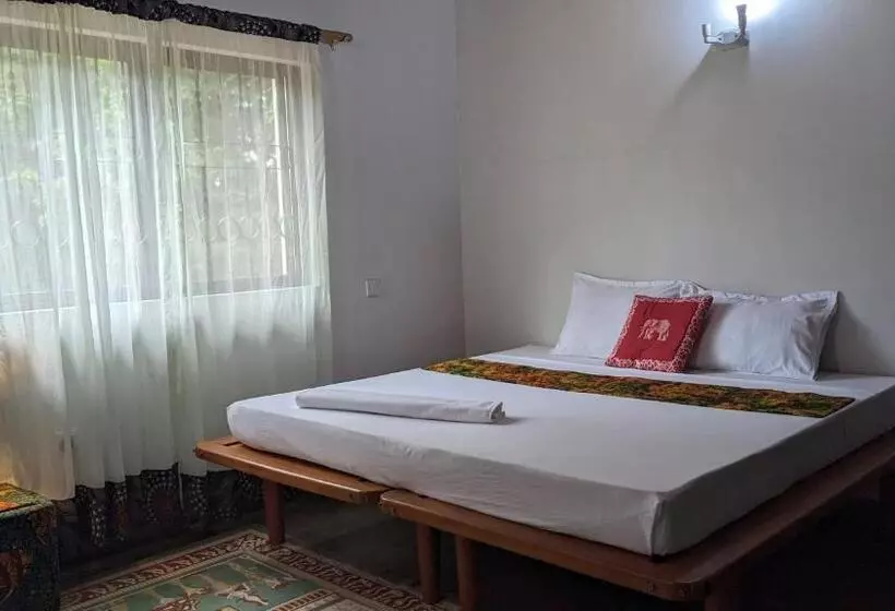 ベッドアンドブレックファースト Walk With Us Africa