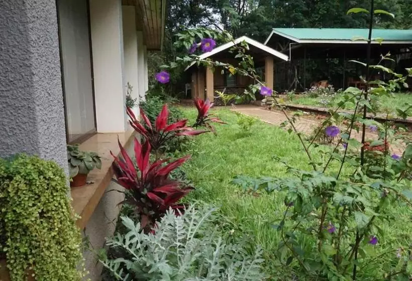 ベッドアンドブレックファースト Walk With Us Africa