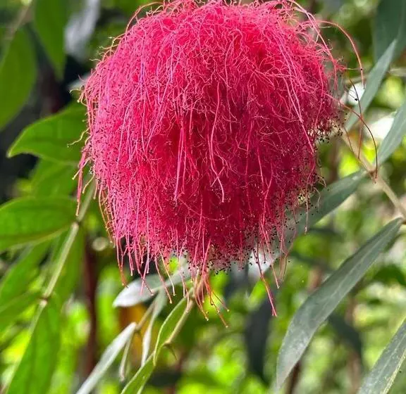 ベッドアンドブレックファースト Walk With Us Africa