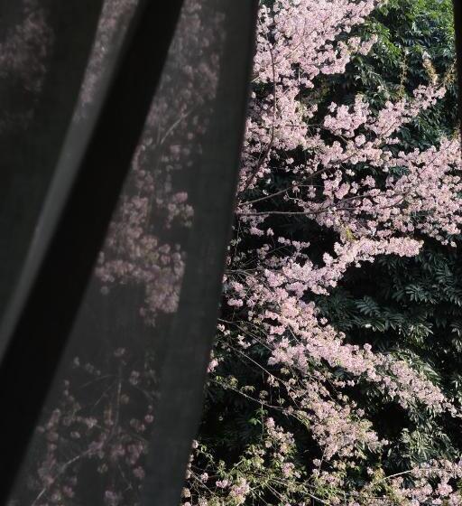 Ecotel Chiminda Abode