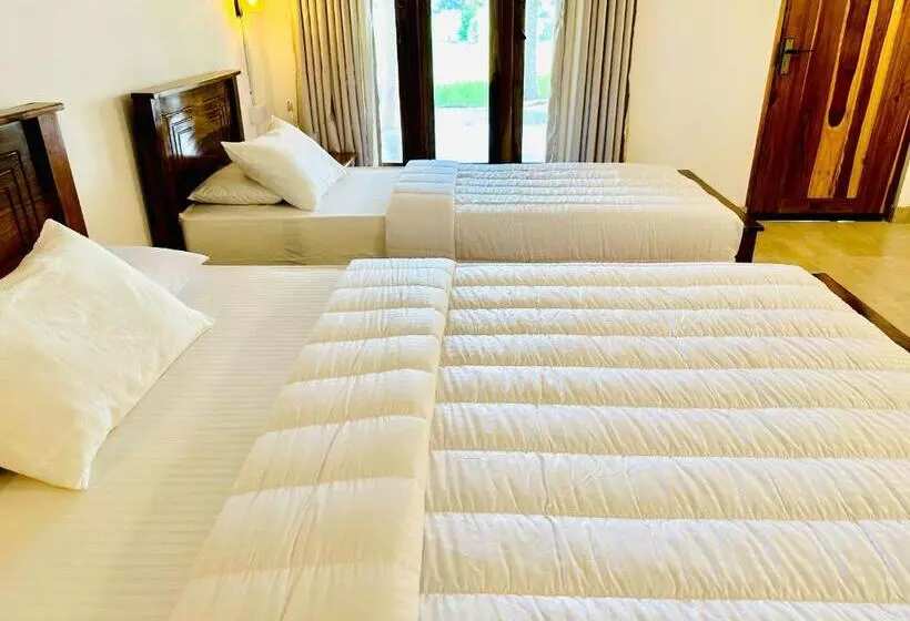 ホテル Wilpattu Blue Sapphire Lite   B&b