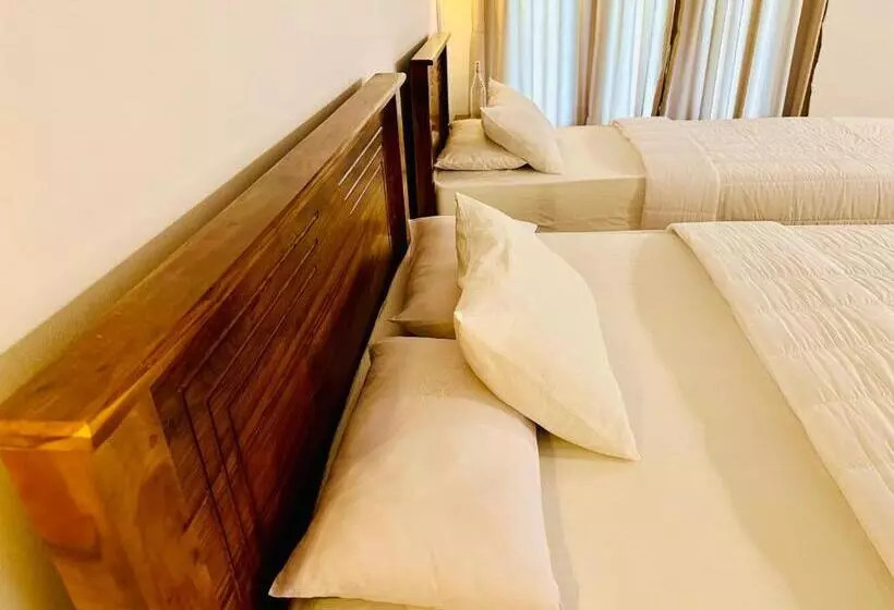 ホテル Wilpattu Blue Sapphire Lite   B&b