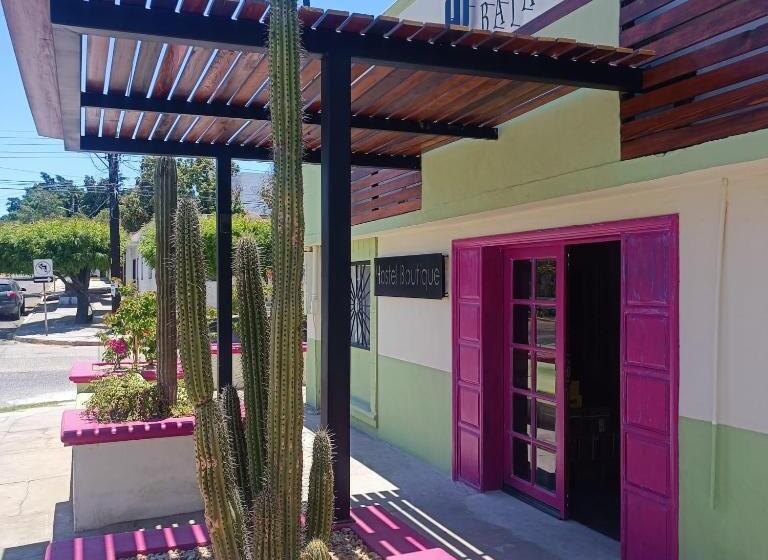 פנסיון Baja Real Hotel Boutique