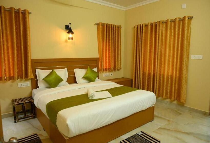 Bed and Breakfast Dreamcasa