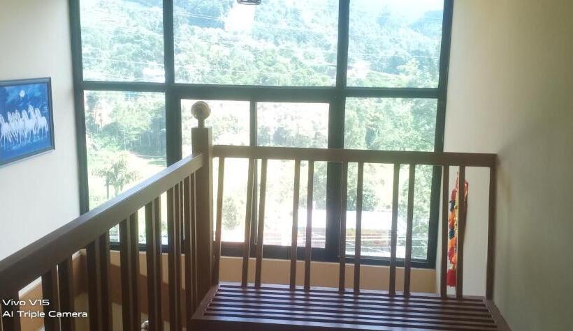 Bed and Breakfast Dreamcasa