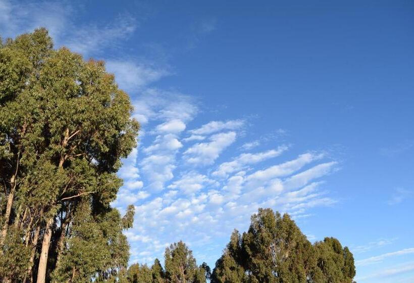 Bed and Breakfast Hostal Del Sol Isla Del Sol