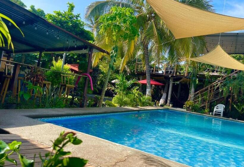 هتل Hostal Copacabana Sv