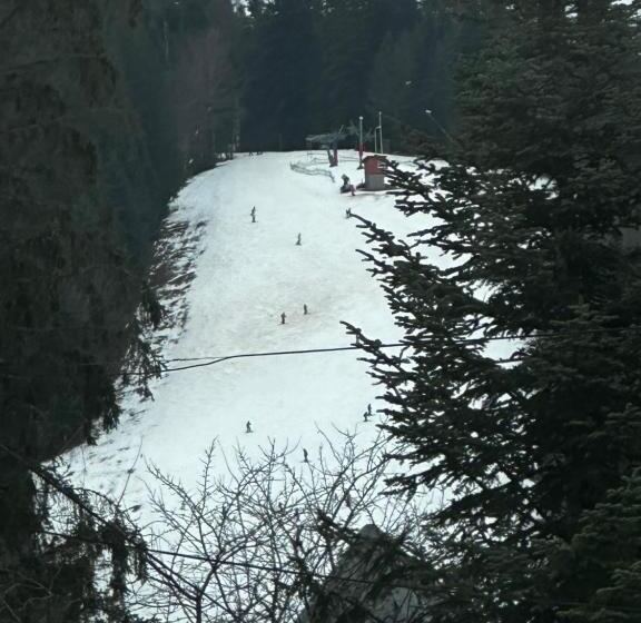 پانسیون Kasa Verde