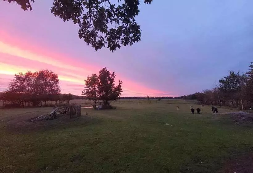 B&b  T Maartensdijkse Bos