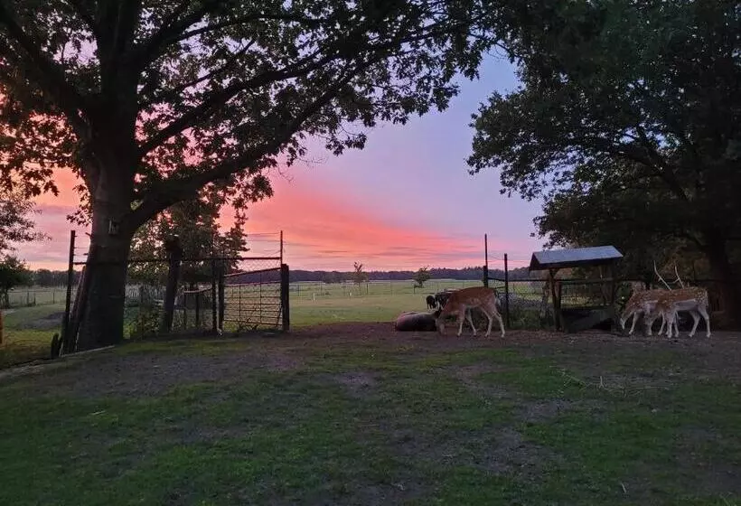 B&b  T Maartensdijkse Bos