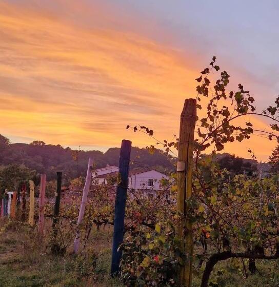 Bed and Breakfast Wine House