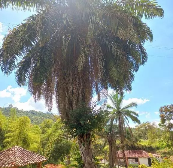 ホテル Asturias