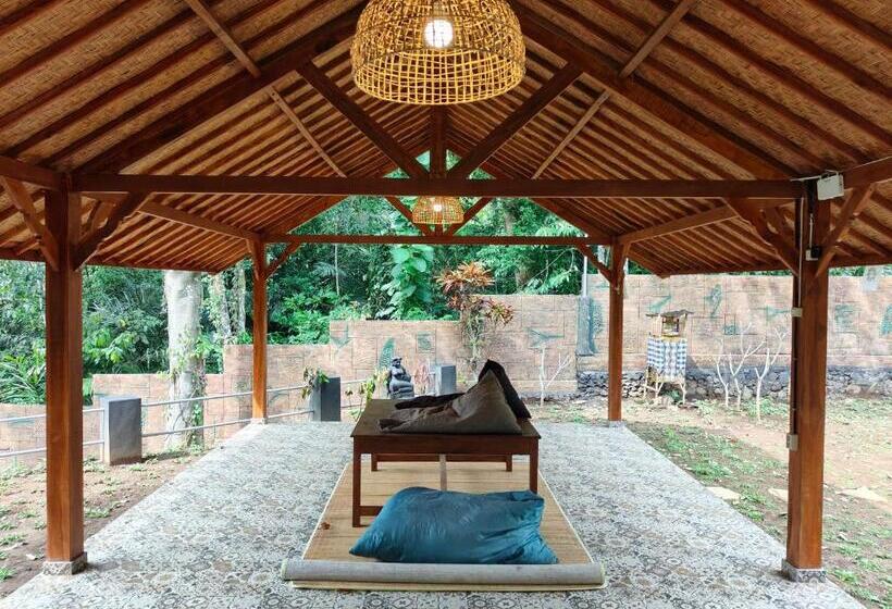 בית מלון כפרי Byron Jungle Resort