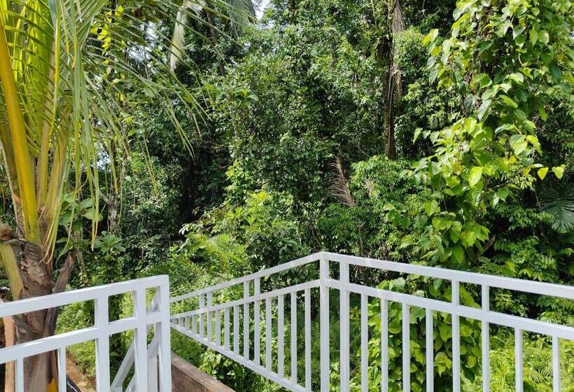 בית מלון כפרי Byron Jungle Resort