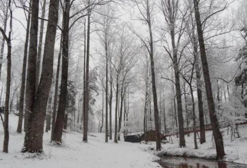 ホテル Crows Nest