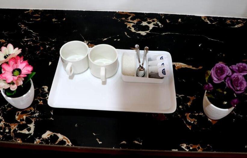 Hotel Solang Snow Heaven