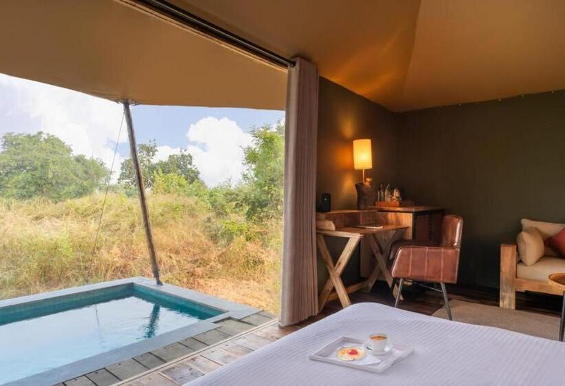 Отель Trees N Tigers, Tadoba