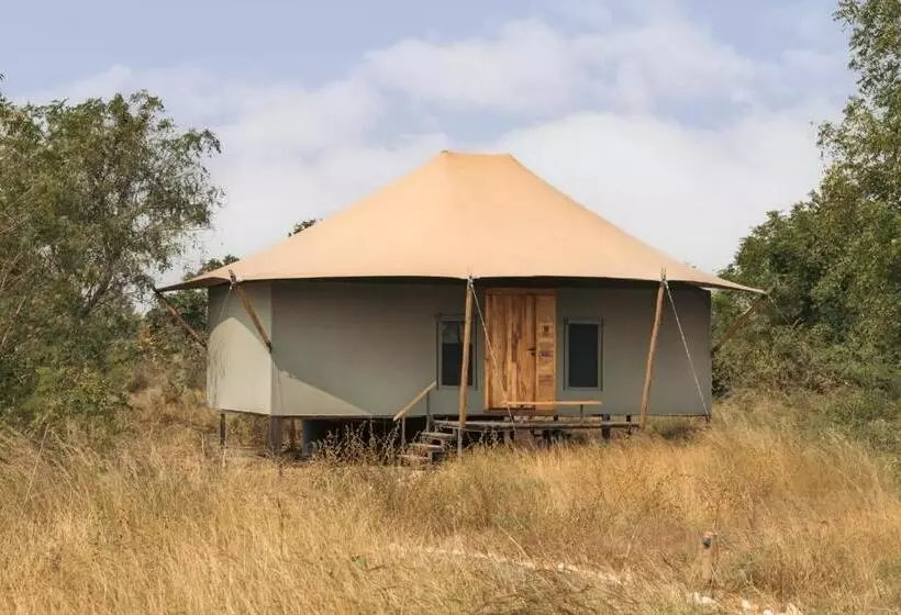Hotelli Trees N Tigers, Tadoba