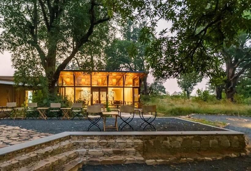 Отель Trees N Tigers, Tadoba