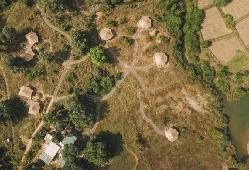 Отель Trees N Tigers, Tadoba