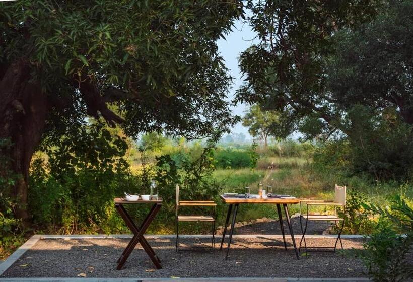 Отель Trees N Tigers, Tadoba