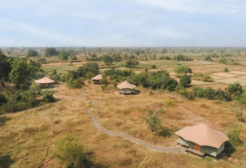 Отель Trees N Tigers, Tadoba