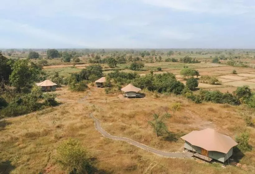 Hotelli Trees N Tigers, Tadoba