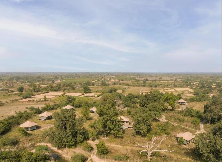 Отель Trees N Tigers, Tadoba