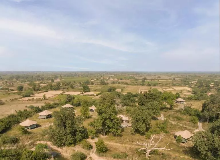 Hotelli Trees N Tigers, Tadoba